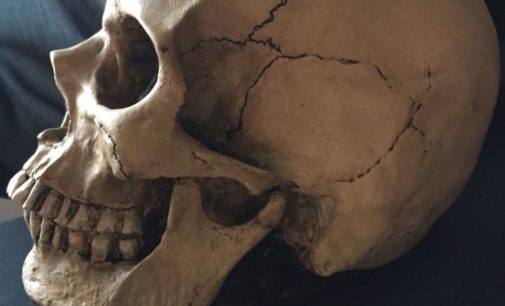 В Днепре в переулке обнаружили человеческий череп