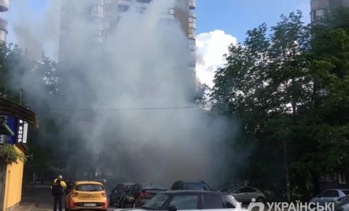 Горели сухие ветки и березы: На «Левобережке» в Киеве возле метро произошел пожар