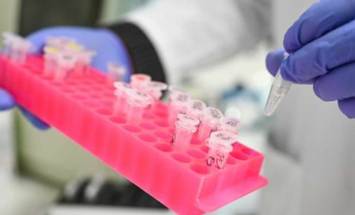 СНБО: от Covid-19 за сутки умерли девять человек