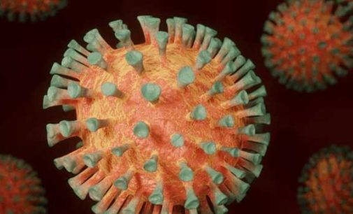 Из-за осложнений от коронавируса на Закарпатье погиб уже десятый человек