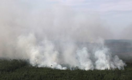 В Сибири начались масштабные лесные пожары