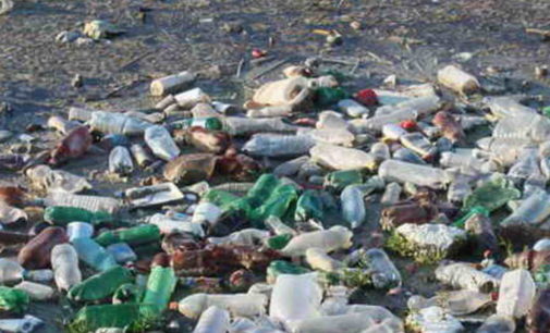 В реке на Харьковщине образовался «мусорный остров»