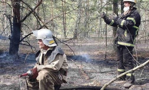 На Житомирщине потушили еще один лесной пожар – ГСЧС