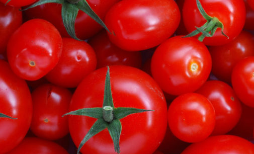 Эксперты рассказали, кому нельзя есть помидоры
