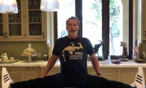 Шварценеггер продемонстрировал своим подписчикам, как занимается спортом на кухонном столе