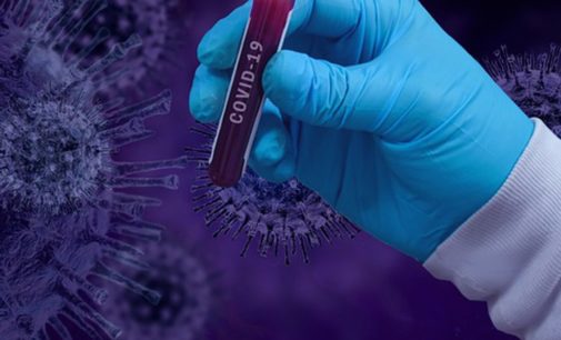 В Ухане за сутки 10 мая выявили пять новых подтвержденных случаев коронавируса