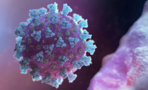 Во Франции число зараженных от коронавируса опять растет