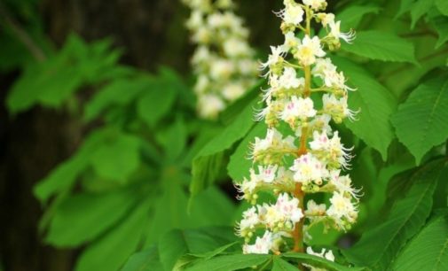 Прогноз погоды на 14 мая: В Украине облачно с прояснениями, дожди и грозы