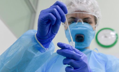 Ученые подтвердили естественное происхождение коронавируса