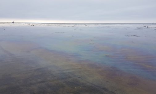 Нефть сливают в моря: хранилища переполнены – СМИ