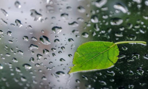 В июне в Украине будет дождливо и холодно — синоптики