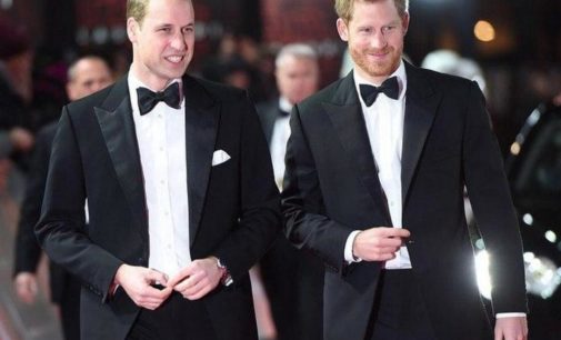 Коронавирус помирил принцев Уильяма и Гарри