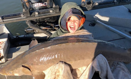 Семья удачливых рыболовов: девятилетний школьник поймал в озере гигантского осетра