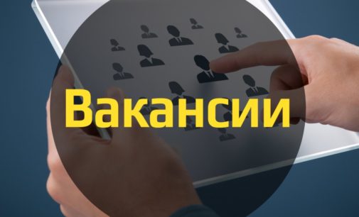 Количество вакансий в Украине упало в 5 раз – эксперт