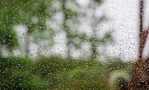 Погода на 17 мая: в Украине пройдут дожди