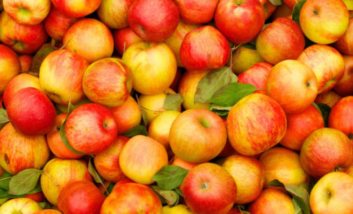 Названы продукты для поддержания бодрости