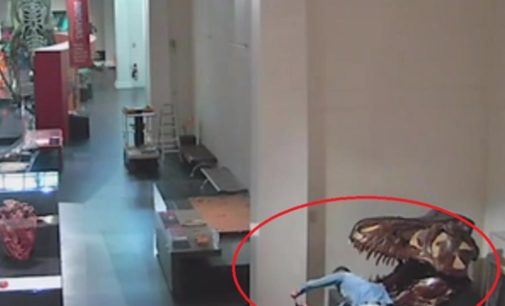 В Австралии мужчина проник в музей ради ребяческого селфи