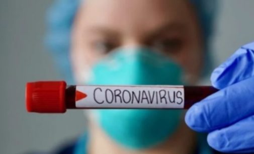 Иммунитет к Covid-19 был обнаружен до пандемии — исследование