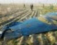 Пять стран сделали заявление в годовщину авиакатастрофы самолета МАУ над Тегераном