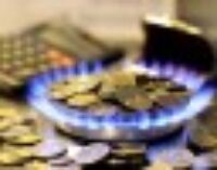 Шмыгаль пообещал в ближайшее время снизить цену на газ для населения